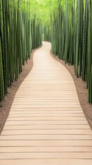 Obraz premium Serene bamboo forest path in Japan