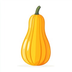 Minimalist Flat Design of Butternut Squash on White Background