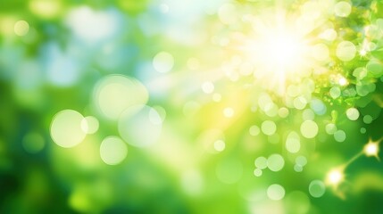 Obraz premium Sunbeams Through Green Leaves