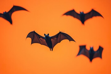 Naklejka premium Spooky Bats Soaring Through a Bright Halloween Sunset