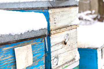 Colorful bee hives covered with snow in a quiet winter landscape at a rural apiary
