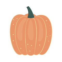 Pumpkin and leaves. Fall floral arrangement with colorful pumpkin. Hand drawn flat style. Seasonal harvest and Halloween Illustration