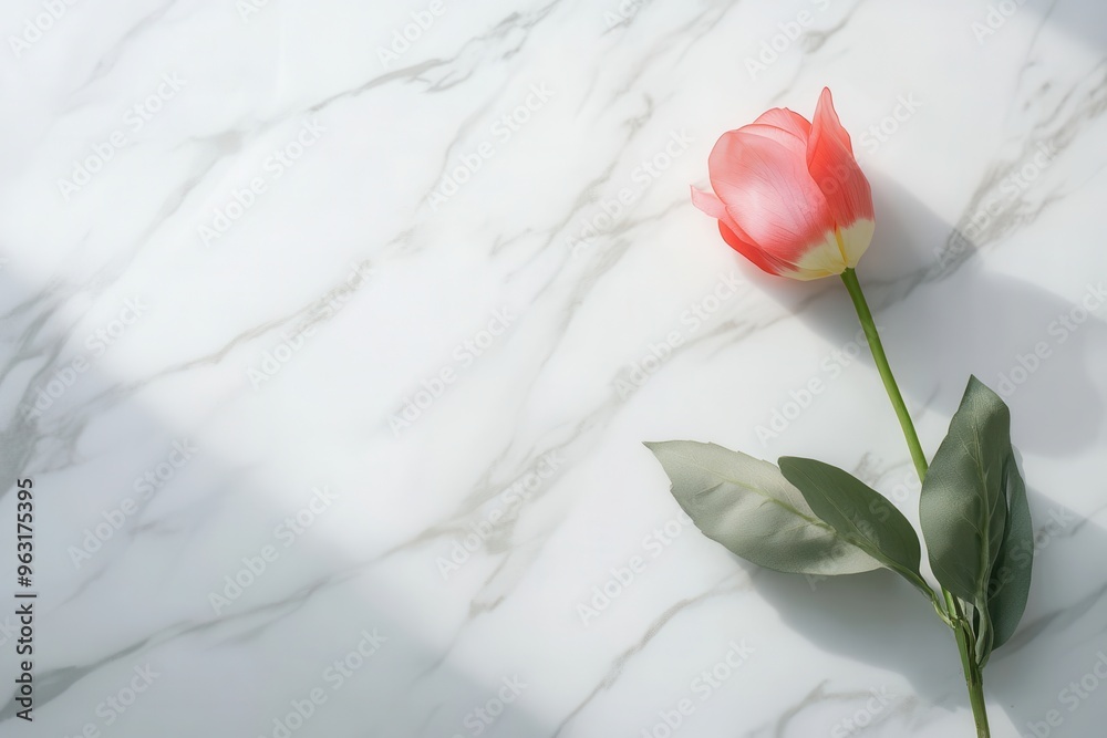 Wall mural A simple tulip lies gently on a smooth white marble surface, highlighting its beauty in a tranquil and minimalist environment. Generative AI