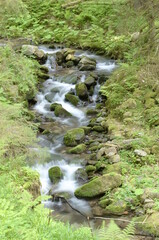 Natur, Urlaub, Reisen, H&auml;user, Meer, 