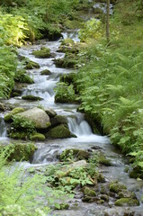 Natur, Urlaub, Reisen, H&auml;user, Meer, 