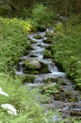 Natur, Urlaub, Reisen, H&auml;user, Meer, 