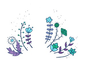 hand draw flowers and plants vintage stile