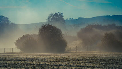 Natur bei Sonnenaufgang im Nebel