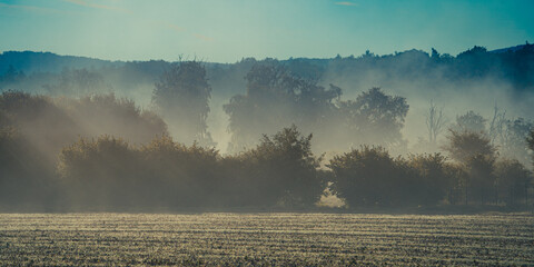 Natur bei Sonnenaufgang im Nebel