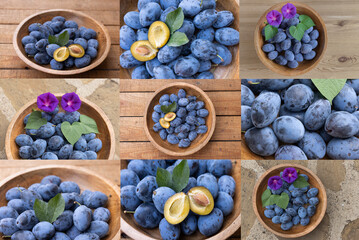 Fototapete bei efototapeten.de bestellen   