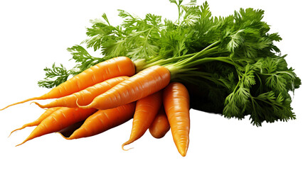 bunch of carrots
