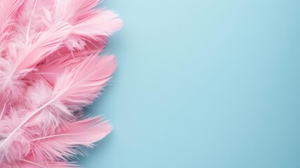 Obraz premium Delicate pink feathers arranged on a soft blue background, perfect for creative projects and festive designs.
