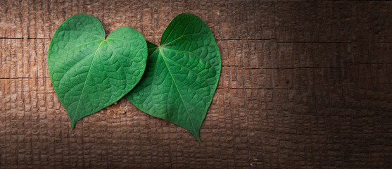 Grünes Herzförmiges Blatt auf altem Holzbrett
