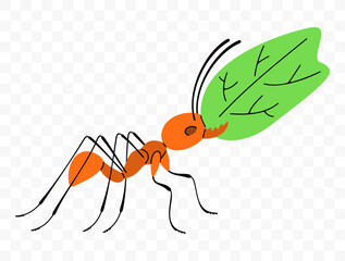 Leafcutter ant move along a trail with leaf, graphic design. Insects, animals, nature, plants and leaves, vector design and illustration