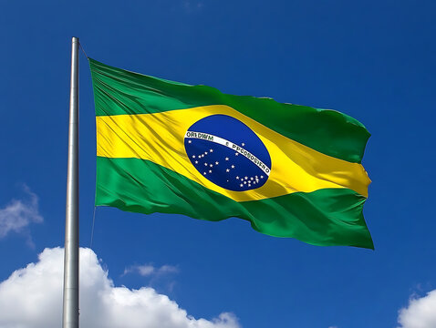 waving colorful national flag of Brezil