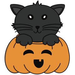 Black cat in pumpkin 