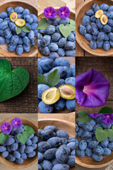 Fototapete bei efototapeten.de bestellen   