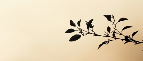 Fototapeta premium Minimalistic Silhouette of a Branch with Leaves Against a Soft Beige Background