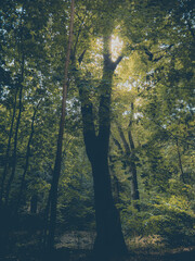 Late summer in 2024.