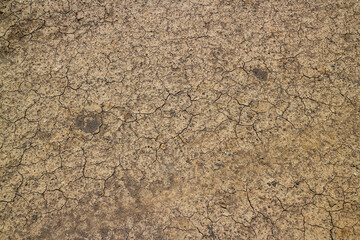 Close-up image of cracked, dry soil, showcasing the texture and patterns created by drought. Cracked earth a sign of drought and dryness.
