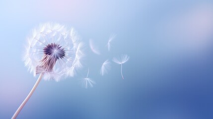 A close-up photo of a dandelion seed, its delicate hairs radiating a soft, diffused light, casting subtle shadows against a backdrop of gentle blue and purple tones