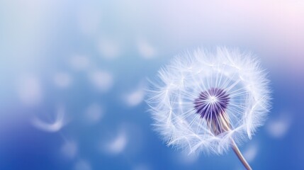 A close-up photo of a dandelion seed, its delicate hairs radiating a soft, diffused light, casting subtle shadows against a backdrop of gentle blue and purple tones