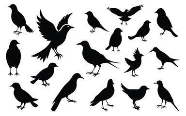 All type of Bird silhouette vector illustration