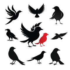 All type of Bird silhouette vector illustration