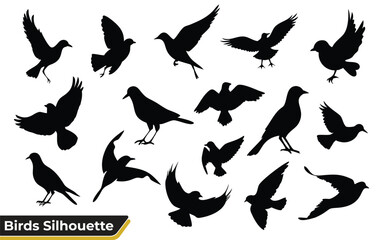 All type of Bird silhouette vector illustration