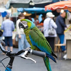 A Bustling Street Market with a Pet Parrot Sitting on a Bicycle