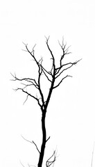 tree silhouette vector