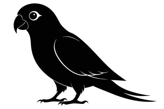 recommend clip art: lovebird silhouette black color vector art illustration