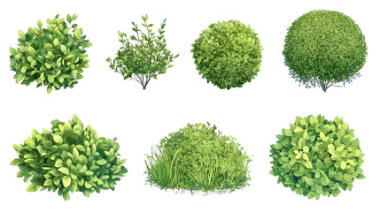 Obraz premium Diverse Assortment of Vibrant Green Garden Bushes and Shrubbery
