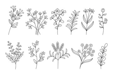 Set of Hand-Drawn Line Art Floral Elements