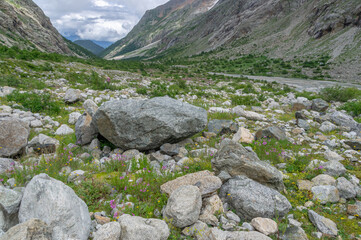 Panorama of a gorge in a mountainous area. Granite stones in the mountains.  Landscape in summer with views of mountains, clouds and flowers. Hiking in the mountains. A trip to the mountains.