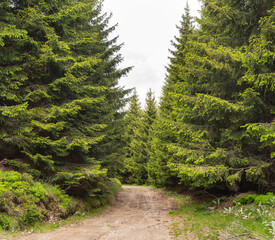 Beautiful landscapes from Cemernik mountain in south Serbia.