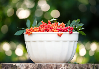 Fresh ripe rowan berries in white bowl on wooden table against colourful bokeh background