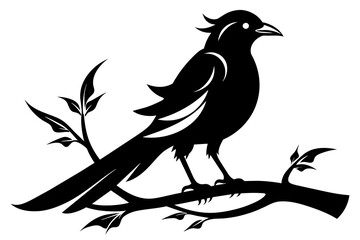  Magpie on the branch iconic logo silhouette black vector art illustration