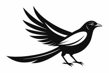 Magpie logo icon silhouette black vector art illustration 