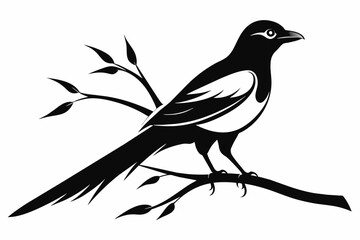  Magpie on the branch iconic logo silhouette black vector art illustration