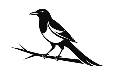  Magpie on the branch iconic logo silhouette black vector art illustration