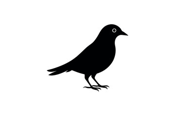 bird logo silhouette vector illustration