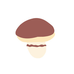 Mushrooms vector flat illustration