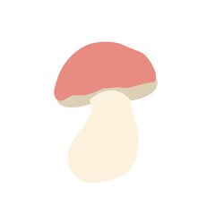 Mushrooms vector flat illustration