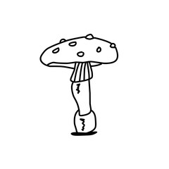 Hand drawn mushrooms. Vector illustration.