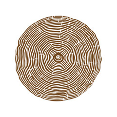 Hand drawn Tree rings wood slice texture. Abstract tree age year circle