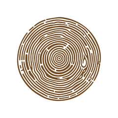 Hand drawn Tree rings wood slice texture. Abstract tree age year circle