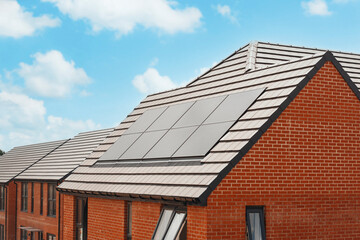 Solar Panels Gleaming on Modern Rooftops Under a Bright Blue Sky in a Residential Neighborhood