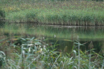 Photos of the lake during sunset from a drone and camera.