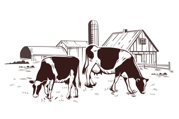 Cows grazing on meadow. Sketch vector illustration